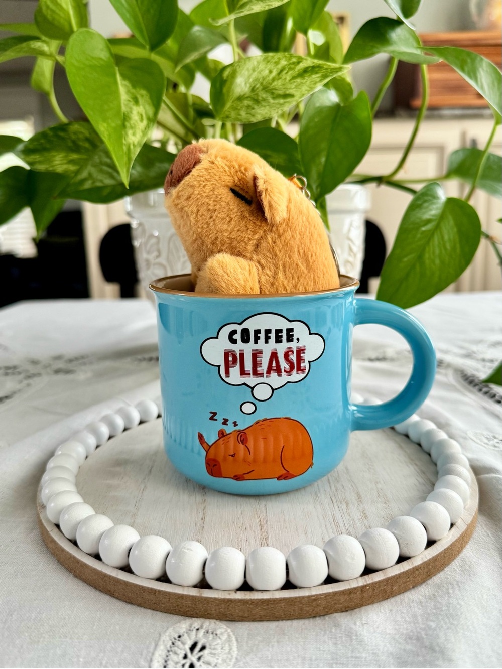 Sleeping Capybara 10oz Ceramic Mug with  and key chain /purse charm you get both